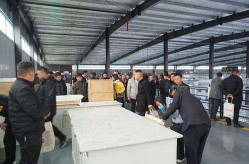 稳在安信 迎战未来 安信美家冬季招商会圆满结束